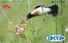 Télécarte Japon / 110-011 - Animal OISEAU TARIER & Oisillons - BIRD Feeding In Nest Japan Phonecard - Vogel TK - BE 3925 - Passereaux