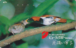 Télécarte Japon / 110-011 - Animal - OISEAU & Oisillons - BIRD Feeding In Nest Japan Phonecard - Vogel TK - BE 3927 - Zangvogels