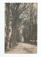 Cp , 78 , VERNEUIL , Promenades Du Boulevard Jean BERTIN , Dos Simple , Voyagée 1904 - Verneuil Sur Seine
