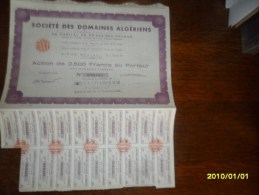 1964 - ACTION  2500  Frs (** SOCIETE Des DOMAINES ALGERIENS  )**++ COUPONS ) A ALGER - Africa