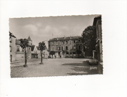 91 CRONE SEINE ET OISE PLACE BOILEAU N° 15  ALAIN - Crosnes (Crosne)