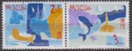 Macau. 1998, Whales.2v. Michel.969-970  MNH 20919 - Baleines