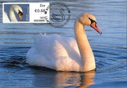 IRELAND (2014). Maximum Card / Carte Maximum ATM - Cisne / Cygne Muet / Höckerschwan / Mute Swan (Cygnus Olor) - Maximumkaarten