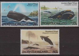 Norfolk Island. 1982, Whales.3v. Michel.286-88  MNH 20932 - Baleines