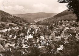 Bad Herrenalb - S/w Blick Vom Marienweg Zum Gaistal - Bad Herrenalb