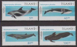 Iceland.2001 Whales. 4v. Michel.989-92. MNH 20957 - Baleines