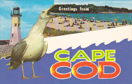 Massachusetts Greetings From Caape Cod Lighthouse And Beach Scene - Cape Cod