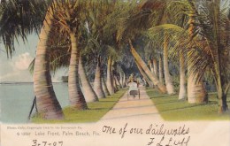 Lake Front Palm Beach Florida - Palm Beach