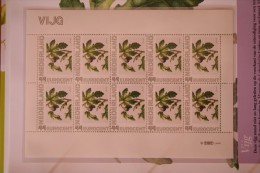 Janneke Brinkman Bloemen : VIJG   Flowers Blumen Fleurs Floral  POSTFRIS / MNH NEDERLAND / NIEDERLANDE - Unused Stamps