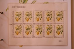 Janneke Brinkman Bloemen : CITROEN   Flowers Blumen Fleurs Floral  POSTFRIS / MNH NEDERLAND / NIEDERLANDE - Unused Stamps