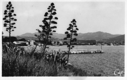 VAR 83 SAINT CYR LES LECQUES LA PLAGE - Saint-Cyr-sur-Mer