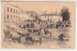 Algérie - Médéa - Les Abords Du Marché Couvert - Editeur: Geiser N° 21 - Médéa