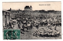 Algérie - Marché De Saïda - Editeur: ? - Saïda