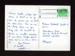 - PAYS BAS 1980/89 . AFFRANCHISSEMENT SIMPLE SUR CP DE 1989 POUR LA FRANCE . - Briefe U. Dokumente