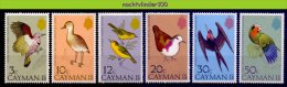 Mwe2002 FAUNA VOGELS DUCK PARROT FRIGATEBIRD BIRDS VÖGEL AVES OISEAUX CAYMAN ISLANDS 1975 PF/MNH - Collezioni & Lotti
