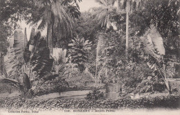 KONAKRY - CONAKRY / JARDIN PUBLIC - Guinée Française