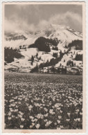 Bad Hindelang - S/w Oberjoch Allgäuer Alpen Mit Iseler - Hindelang