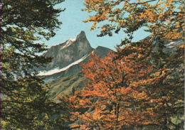 Bad Hindelang Hinterstein - Bärgündeletal Blick Zum Schneck - Hindelang