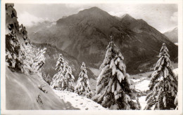 Bad Hindelang Oberjoch - S/w An Der Alten Jochstraße - Hindelang