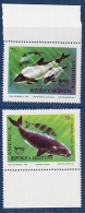 ARGENTINE 1993     Mammifères Marins  Baleines  Sea Mammals  Wales  2v  MNH - Ongebruikt