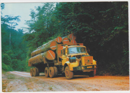 République Du Gabon - Grumier - Gabon