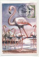 CARTE MAXIMUM 1ER JOUR FLAMANT ROSE OISEAU - Flamingos