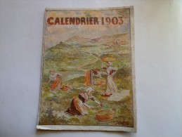 CALENDRIER DE 1903 LA MEDECINE DES PLANTES - Kleinformat : 1901-20