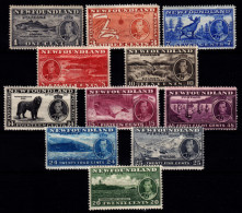 TERRE NEUVE - N° 208/218** - George VI - Poisson - Caribou - Phoque - Chien - Bateau - 1937 Newfoundland .. - 1908-1947