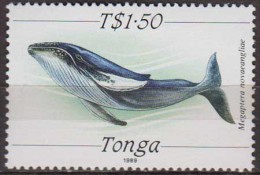 Tonga. 1991. Whales.1v. Michel.1068  MNH 20982 - Baleines