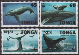 Tonga. 1996. Whales.4v. Michel.1040-43  MNH 20987 - Baleines