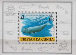 Tristan Da Cunha. 1988. Whales.Sheet.1v. Michel.21  MNH 20986 - Baleines