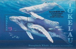 Tokelau.1997  Whales.Sheet. 1v.Aupex.Michel.11 I. MNH 21000 - Baleines