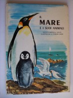 M#0E19 M.Verite' IL MARE E I SUOI ANIMALI Ed.Confalonieri/Illustrazioni Di Romano Simon - Ragazzi