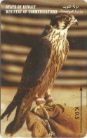 Kuwait - Saker Falcon, 30KWTA, 1995, Used - Kuwait