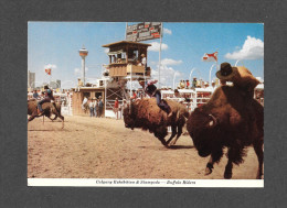 CALGARY - ALBERTA - CALGARY EXHIBITION & STAMPEDE - BUFFALO RIDERS - PHOTO BY FRED KOBSTED - Calgary