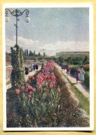 1956 - KAZAKHSTAN - Alma Ata - Flowers Square. Russia. Unused - Kazakhstan