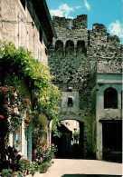 ROCHEMAURE : Ruelle Fleurie Et Porte Dans Les Anciens Remparts De La Ville - Rochemaure