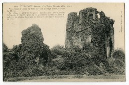 Ref 196 - POUZAUGES - Le Vieux Château - Pouzauges