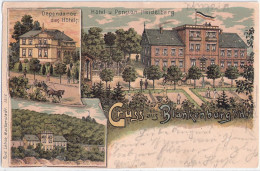 Gruss Aus BLANKENBURG Am Harz Hotel U Pension Heidelberg + Dependance 8.8.1900 Gelaufen - Blankenburg