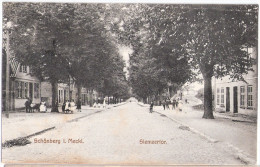 SCHÖNBERG Siemzer Tor Belebte Strassenszene 15.7.1909 Gelaufen - Grevesmuehlen