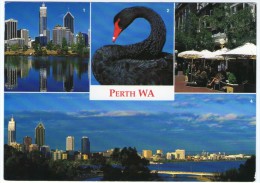 AUSTRALIA-PERTH VIEWS / THEMATIC STAMP-BUTTERFLY - Perth