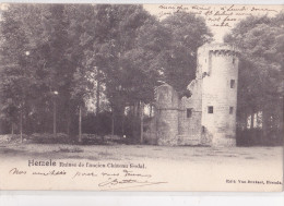HERZELE : Ruines De L'ancien Château Féodal - Herzele