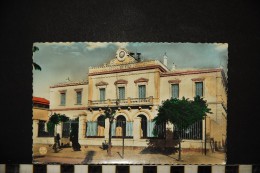 CP, ALGERIE BATNA L'Hôtel De Ville Ecrite En 1958 Ed Alexandre SIRECKY - Batna