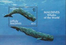 Maldives. 1995  Whales.Sheet.1v.Michel 332 MNH 21009 - Baleines