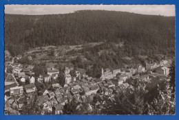 Deutschland; Wildbad Im Schwarzwald; Panorama - Calw