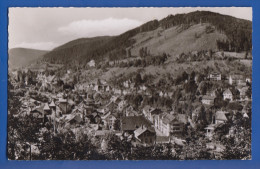 Deutschland; Wildbad Im Schwarzwald; Panorama - Calw