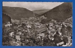 Deutschland; Wildbad Im Schwarzwald; Panorama - Calw