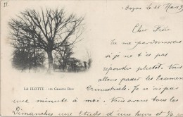 DEPT 33 - CPA DOS SIMPLE TRES RARE Du 18/03/1899 - LA FLOTTE - Les Grands Bois - Parti De BAZAS - VAN - - Bazas