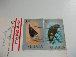 STORIA POSTALE FRANCOBOLLO COMMEMORATIVO UCCELLO BIRD ST LUCIA  WEST INDIES CARIBLUE - Santa Lucia