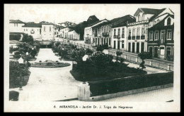 MIRANDELA - Jardim Dr. J. Trigo De Negreiros ( Ed. Alexandre José Fernandes Nº 6) Carte Postale - Bragança